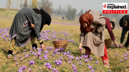 Kashmiri women