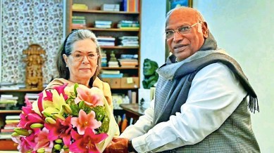 Rajasthan Congress, Mallikarjun Kharge, Rahul Gandhi, Ashok Gehlot, Indian express news, current affairs