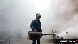 Malaria cases continue to dip in India, up globally: WHO report