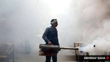 Malaria cases continue to dip in India, up globally: WHO report