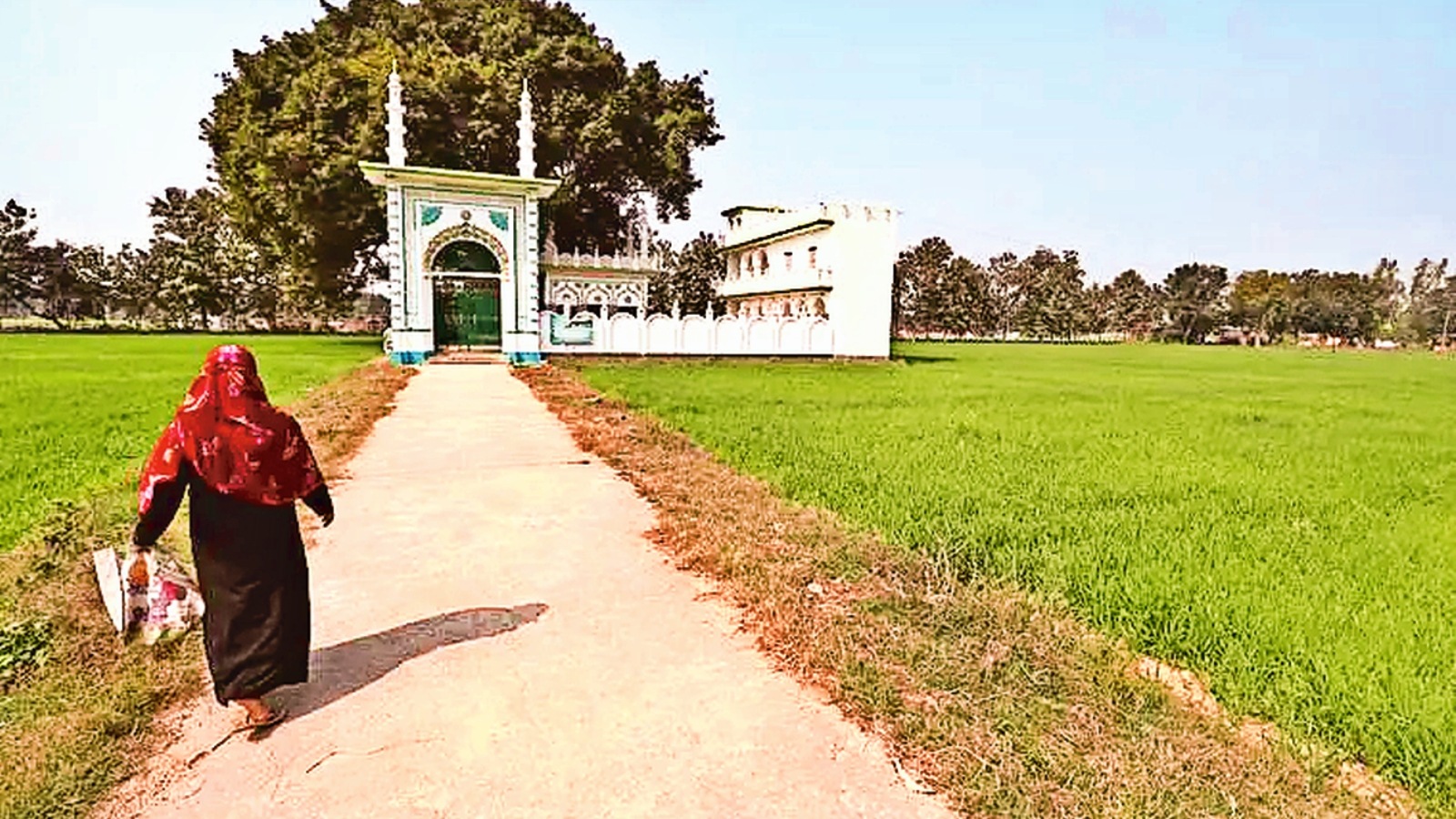 Ayodhya, Ayodhya Ram temple, Ram Temple Trust, Ram temple, Lucknow news, Uttar pradesh news, Lucknow, India news, Indian express, Indian express India news, Indian express India