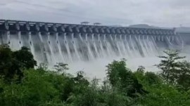 Narmada water, assembly polls results, Sardar Sarovar Narmada Nigam Limited, Gujarat’s share of Narmada water, Water Resources Department, delhi irrigation department, SSNNL prioritises, indian express news