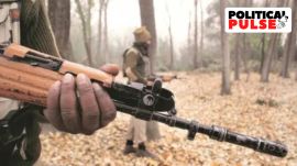 nov30 (26) Chhattisgarh naxals