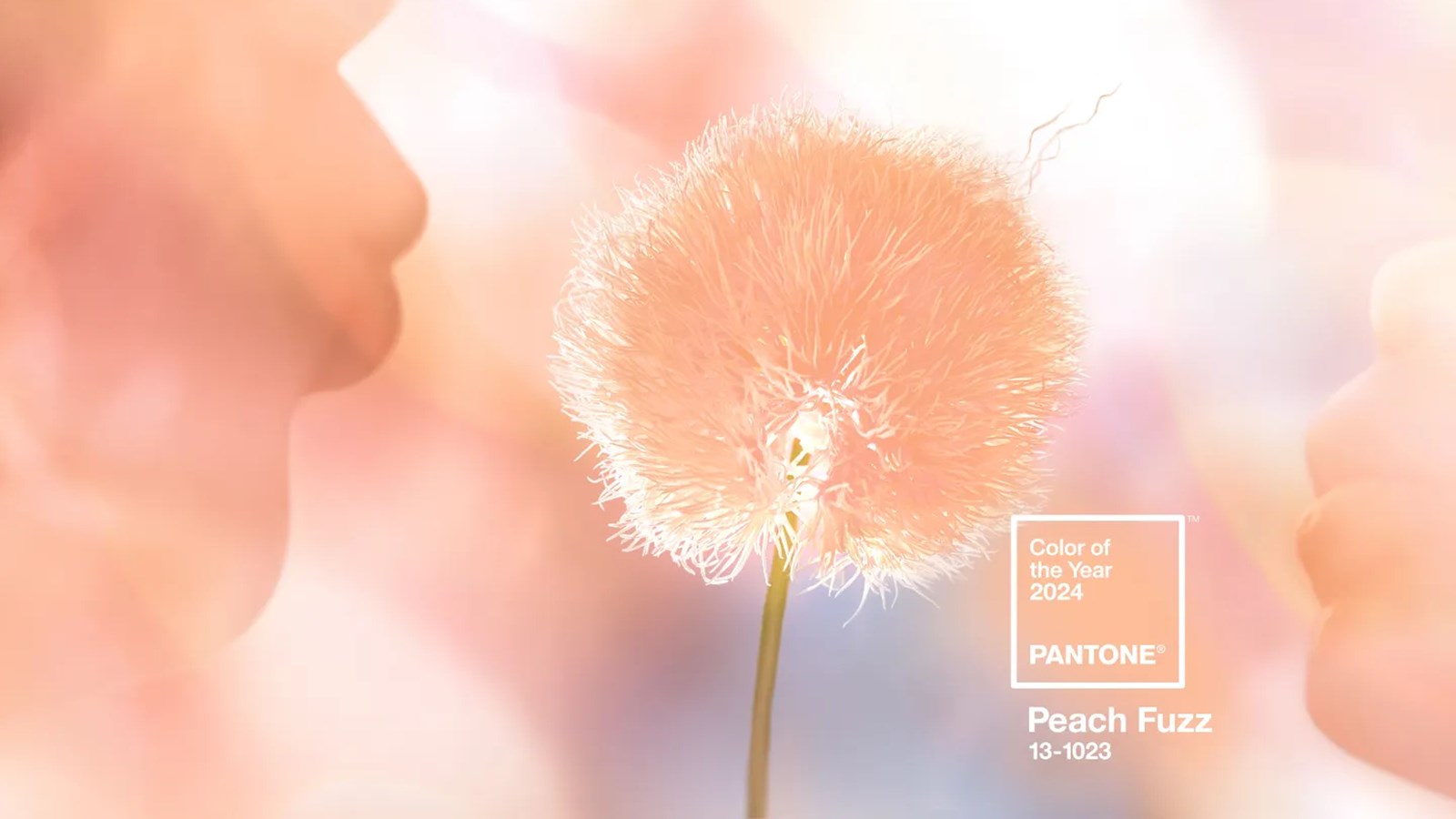 Pantone's 'Colour of the Year' for 2024 is...