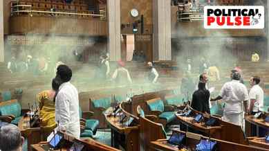Parliament security breach