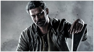 Prabhas plays the lead role in Salaar.