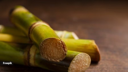 Sugarcane is a hydrating and refreshing source,