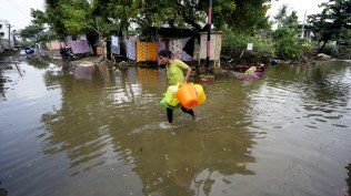 tamil nadu rains