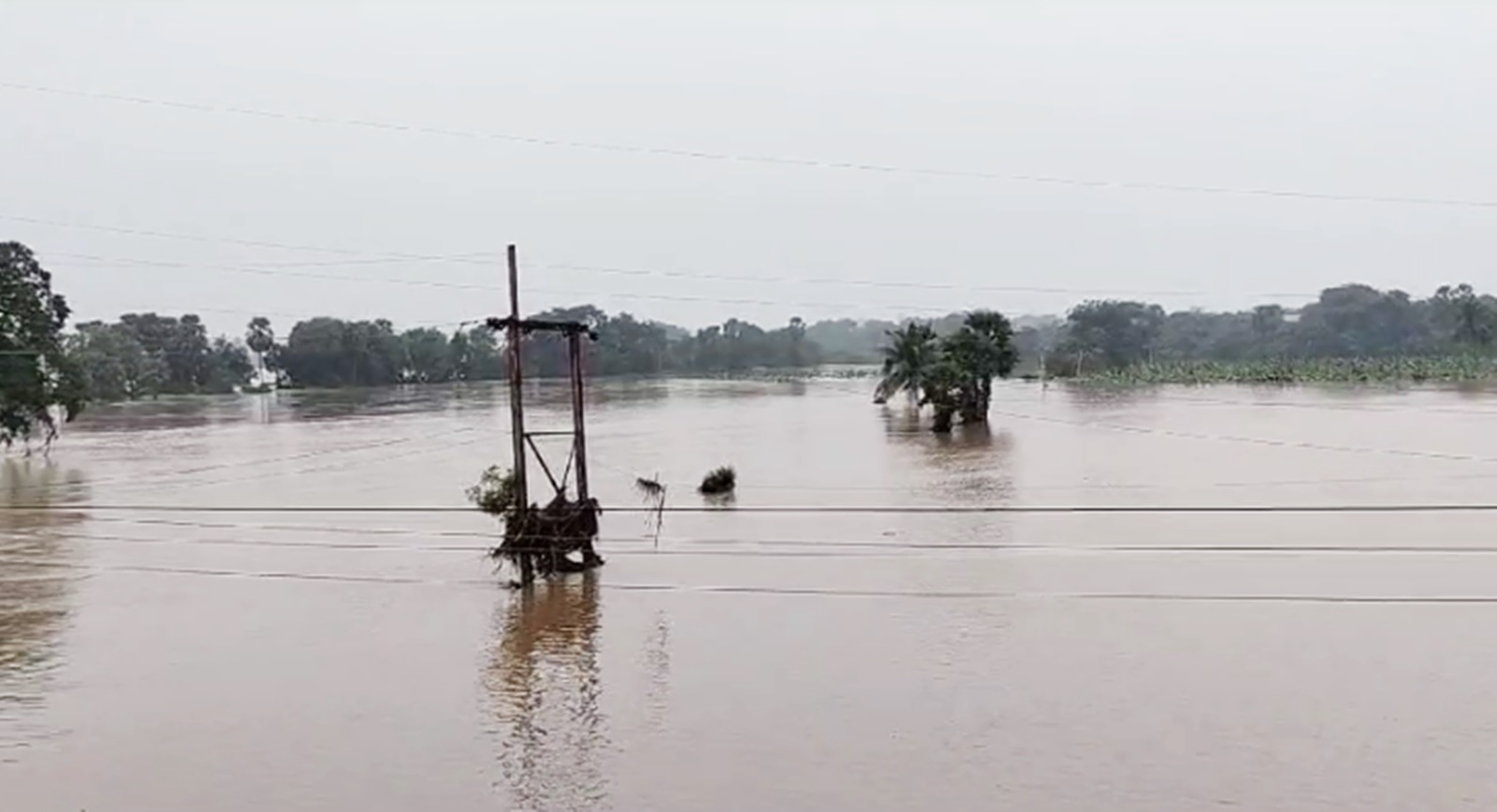 tamil nadu rains