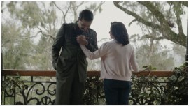 Sam Bahadur box office collection day 20: Vicky Kaushal's film remains steady.