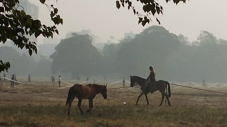 Cyclone Michaung, bengal weather update, arrival delayed by cyclone, migratory birds, West Bengal wildlife sanctuaries, indian express news