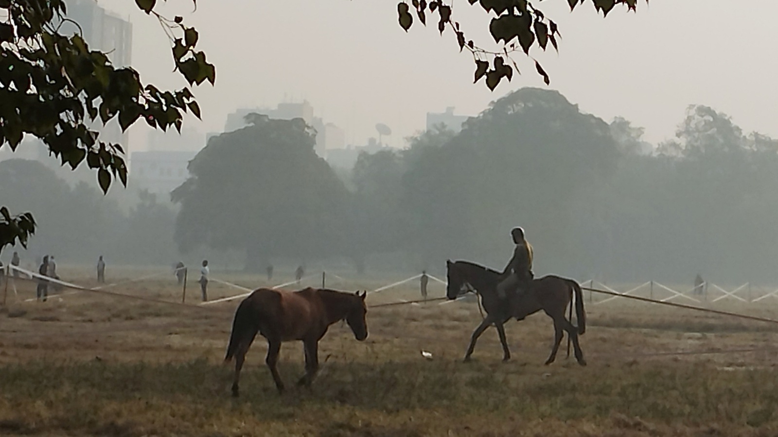 Cyclone Michaung, bengal weather update, arrival delayed by cyclone, migratory birds, West Bengal wildlife sanctuaries, indian express news