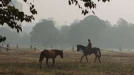 Cyclone Michaung, bengal weather update, arrival delayed by cyclone, migratory birds, West Bengal wildlife sanctuaries, indian express news
