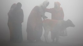 Kolkata AQI, Kolkata air pollution, kolkata air quality, air quality index, PCB blames low wind speed, kolkata pollution, indian express news