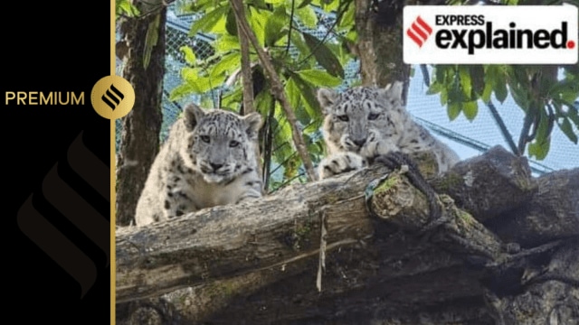 darjeeling zoo