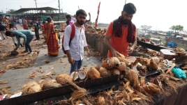 City’s first coconut waste-to-energy plant in Sewri to treat 12,000 kg coco waste daily