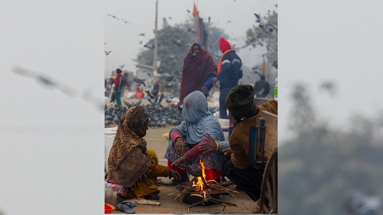 Delhi winter, Delhi weather news, Delhi weather updates, Delhi cold day, delhi power demand, delhi power demands in winter, delhi temperature, delhi maximum temperature, India Meteorological Department, IMD on delhi winter, indian express news