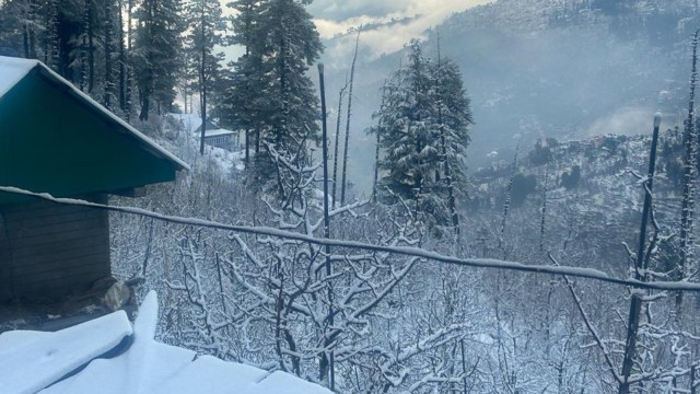 snowfall