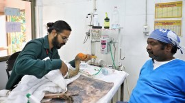 kite flying, kite strings during Uttarayan, Karuna Abhiyan campaign, international migratory species, flamingos kites, makar sankranti, kite flying birds, kites, Jeevdaya Charitable Trust, JCT Ahmedabad, gujarat news, indian express