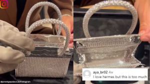 Hermes kellymorphose.