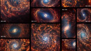 The James Webb Space Telescope observed 19 nearby face-on spiral galaxies in near- and mid-infrared light
