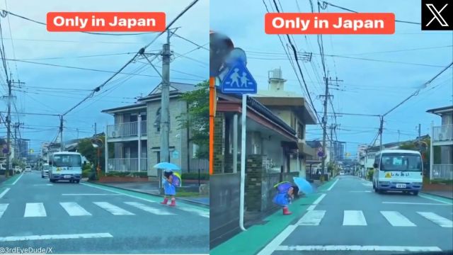 Japanese girl crosses road, bows to bus driver for halting