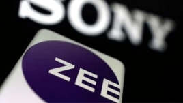 Representative Image: Sony-Zee