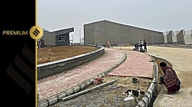 UP cow sanctuary