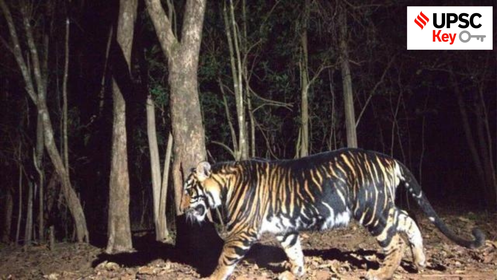 UPSC, upsc 2024, Upsc Prelims results, UPSC key terms, upsc news, upsc syllabus, UPSC KEY, Upsc Key terms, IAS current affairs, upsc Key Indian express, The Indian Express current Affairs, Is Indian Express Good for UPSC, upsc today news, upsc newspaper, Indian express today important news for upsc, Indian express monthly current affairs, What should I read in Indian Express for UPSC today, UPSC Answer Key, UPSC Online, IAS, IPS, upsc current affairs news, UPSC KEY News, UPSC Civil services news, UPSC Prelims 2023, UPSC Mains 2023, UPSC Mains 2023, UPSC Mains 2024, UPSC Prelims 2024, UPSC General Studies 1, UPSC General Studies II, UPSC General Studies III, UPSC General Studies IV, upsc, upsc mains 2023, UPSC mains answer writing, upsc GS paper 1, upsc mains GS paper 1, upsc geography, upsc history, gs paper 1, upsc, upsc mains 2023, UPSC mains answer writing, upsc gs paper 4, upsc mains gs paper 4, upsc ethics, gs paper 4, sarkari naukri, government jobs, Current events of national and international importance, History of India and Indian National Movement, Indian Heritage and Culture, History and Geography of the World and Society, Governance, Constitution, Polity, Social Justice and International relations, Technology, Economic Development, Bio diversity, Environment, Security and Disaster Management Ethics, Integrity and Aptitude, Priya Kumari Shukla, Indian Express UPSC Key, Upsc Indian Express, Rahul Gandhi, Congress, BJP, Narendra Modi, PM, Amit Shah, Home Minister, Arvind Kejriwal, AAP, Mahatma Gandhi, Suspension of MPs, Lok Sabha, Rajya Sabha, Speaker of Lok Sabha, Provisions for Suspension of a Member of Parliament, Pirola, Covid, JN.1, three key Bills, The National Capital Territory of Delhi Laws (Special Provisions) Second (Amendment) Bill, 2023, Central Goods and Services Tax (Second Amendment) Bill, the Provisional Collection of Taxes Bill, 2023, title suit of 1991, Gyanvapi Case, separate escape tunnel, environmental impact assessment, Lumpy Skin Disease, Consumer Protection Act, 2019, variant of interest, Telecommunications Bill, 2023, India’s foreign exchange rate regime, Sitamarhi, Sita, Bihar, Carbon Credit, greenwashing, 14th Amendment of the US Constitution, K-shape in industrial recovery, Opposition in a democracy, sovereign AI, Bharatiya Nyaya (Second) Sanhita, 2023, the Bharatiya Nagarik Suraksha (Second) Sanhita, 2023, the Bharatiya Sakshya (Second) Bill, 2023, migrant, refugee, Asylum Seeker, EU Pact on migration and asylum, Chief Election Commissioner and Other Election Commissioners (Appointment, Conditions of Service and Term of Office) Bill, 2023, Sakshi Malik, XPoSat mission, New Year, 2024, Jan 1, Ram Mandir, Ayodhya, terrorist, Green Climate Fund, climate change ‘Loss and Damage’, inoperative account, Free Movement Regime, NRC, NPR, CAA, Nyuntam Aay Yojana, Minimum Income Scheme, cyber kidnapping, Voter Verifiable Paper Audit Trail (VVPAT), PM-Kisan Scheme, Adani-Hindenburg, India’s first mission to study the Sun, Four Stars of Destiny, Lakshadweep, 2005 satellite deal between Antrix Corporation and Devas Multimedia Pvt Ltd, production linked incentives (PLI) scheme, Aditya-L1, India-Nepal Bilateral relations, Directorate of Enforcement (ED), Maldives and India controversy, Jan Vishwas 1.0, Jan Vishwas 2.0, Gross domestic product, Supreme Court Legal Services Committee, AI help in early cancer detection, Income Inequality, Bilkis Bano, Laws on remission, Rule of law, right to liberty, Articles 72, 161 of the Constitution, per capita cereal consumption, K-shaped recovery, Geographical Indication (GI) tag, S Azeez Basha vs Union of India, ‘minority character’ of an educational institution, Rights of Persons with Disabilities Act, 2016, Gabriel Attal, Square Kilometre Array Observatory, Kuki Tribes, Aligarh Muslim University, 2023 warmest year, International Court of Justice, Atal Setu Nhava Sheva Sea Link, Cervical cancer, UN’s 1948 Genocide Convention, WHO‘s Global Strategy to Accelerate the Elimination of Cervical Cancer 2030 educational status of Muslim women in India, Telecommunication Act 2023, Role of Speaker in Maharashtra Legislative Assembly, India-Maldives, Delhi pollution, India’s Carbon Dioxide Emissions, AQI, Cold, Winter, science behind badminton shuttlecock, Geographical location of Delhi, aerodynamically stable, Global Carbon Project report, Bharat Stage III, Bharat Stage IV, World Economic Forum, Consumer Price Index, Multidimensional Poverty Index, Davos, Annual Status of Education Report (ASER), Indian Stamp Act, NGOs, FCRA, Second Thomas Shoal, Hybrid Mustard, World Trade Organization Ministerial Conference, Competition Commission of India, public stockpiling of food grain, Peace clause, Genetic Engineering Appraisal Committee, Baloch minorities, Ram, Ayodhya, Ram Mandir, Ramayana, Significance of Temple, Pradhan Mantri Suryodaya Yojana, Srimanta Sankardeva’s philosophy, Rooftop Solar Scheme, Remission of Duties and Taxes on Exported Products (RoDTEP) scheme, Barpeta Sattra, Karpoori Thakur, Abortion rights of a woman, Direct tax-to-GDP ratio, Bharat Ratna Award, Medical Termination of Pregnancy Act, Relevance of Karpoori Thakur, Doctrine of the ‘basic structure’, India-Canada bilateral relations, January 29, 2024, National Security Strategy, malnutrition, hunger, nutrition, Diamond jubilee celebrations of the Supreme Court, Army Physical Fitness Assessment card, UGC guidelines, Supreme Court of India, De-reservation, Melanistic Tigers