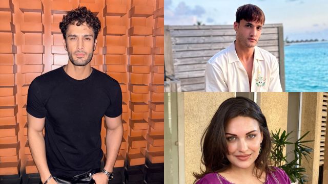 Umar Riaz comments on Asim Riaz and Himanshi Khurana break up