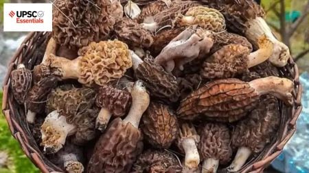 UPSC Essentials : Daily Subject-wise quiz | History, Culture, and Social Issues (Week 39)