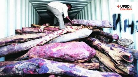 UPSC Daily subject-wise quiz — Environment, Geography, Science and Technology (Week 39)