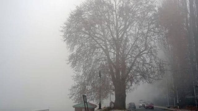 Why Pune feels colder than it really is, an expert explains