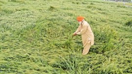 Union budget, Budget hiked, Agriculture Ministry, Union budget, budget news, central govt, PM Kisan yojana, PM kisan Samman Nidhi, agricultural ministry’s total allocation, budget news, indian express news