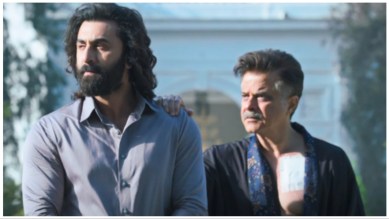 Anil Kapoor and Ranbir Kapoor play the roles of father and son in Animal.