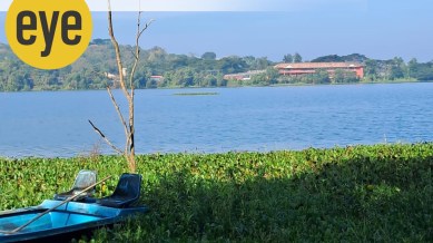 North Goa’s Carambolim Lake was once a man-made water storage tank to irrigate paddy fields, a purpose it still serves today