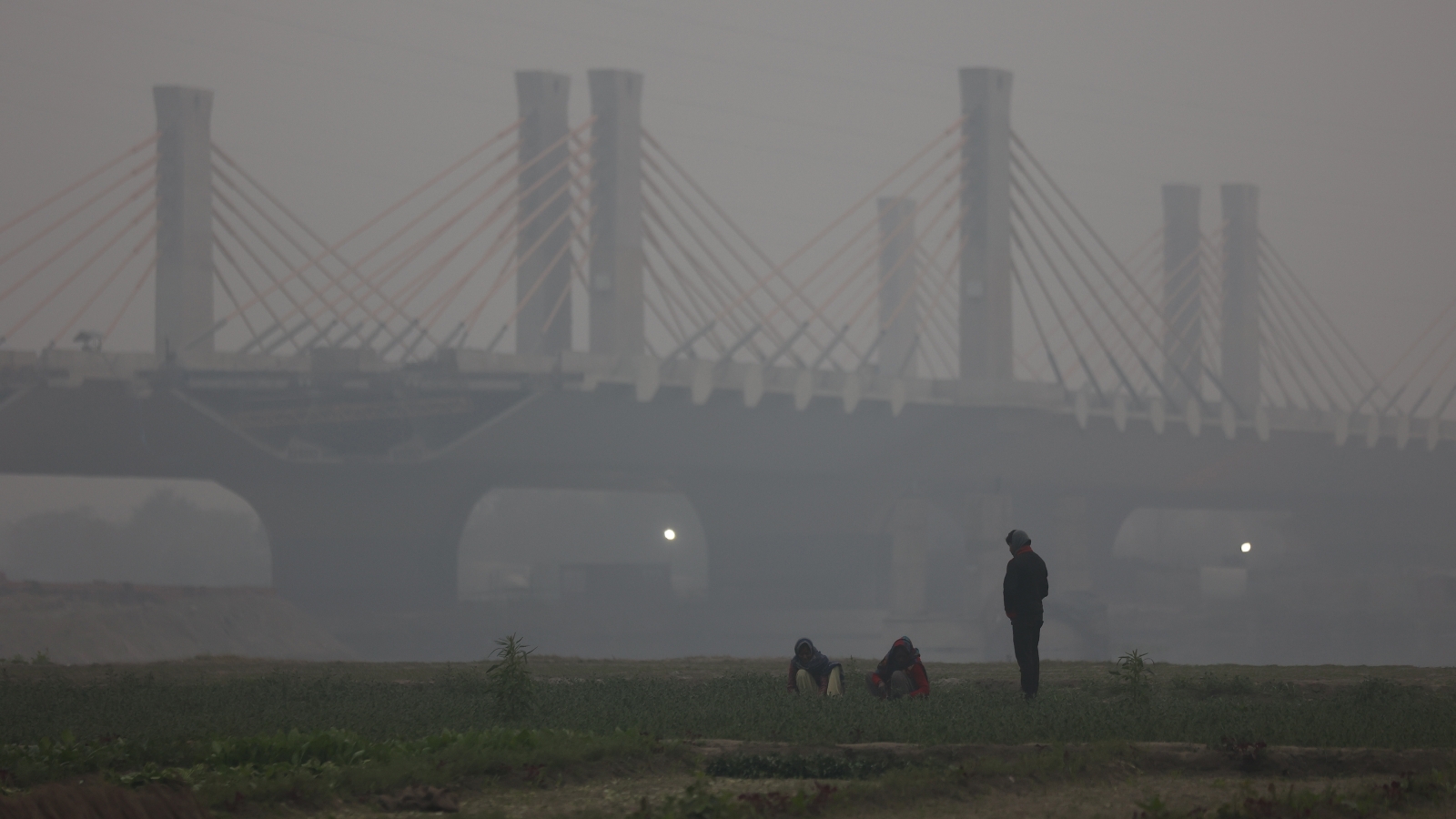 Delhi Airport Issues Advisory After Visibility Hits 800 Mt; Flights And ...