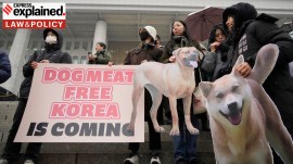 dog meat ban