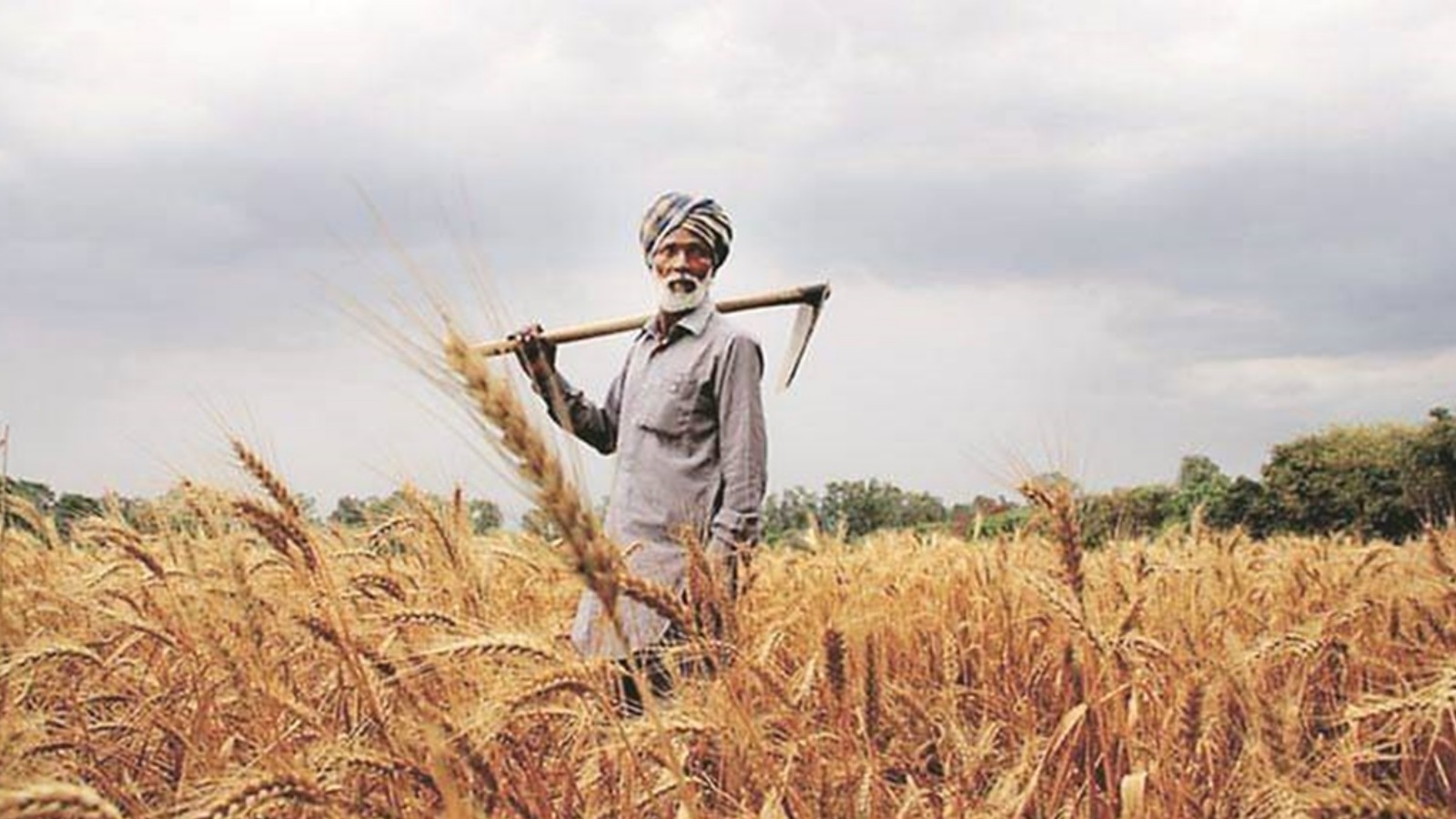 Center’s crop insurance plan finds more takers |  India News