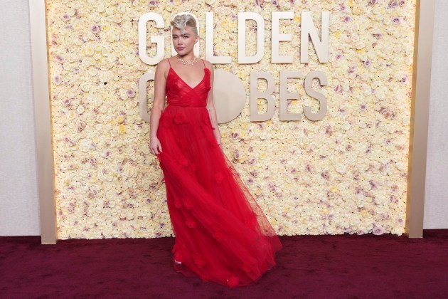 81st Golden Globe Awards