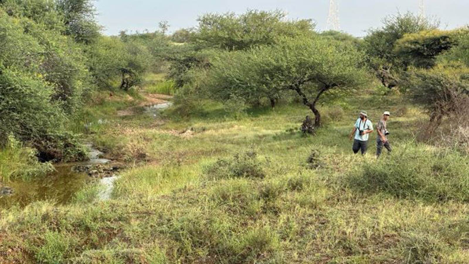 Gujarat Govt To Survey Flora Fauna Of 7 Forest Ranges In Surat To   Gujarat Surat Sanctuart 