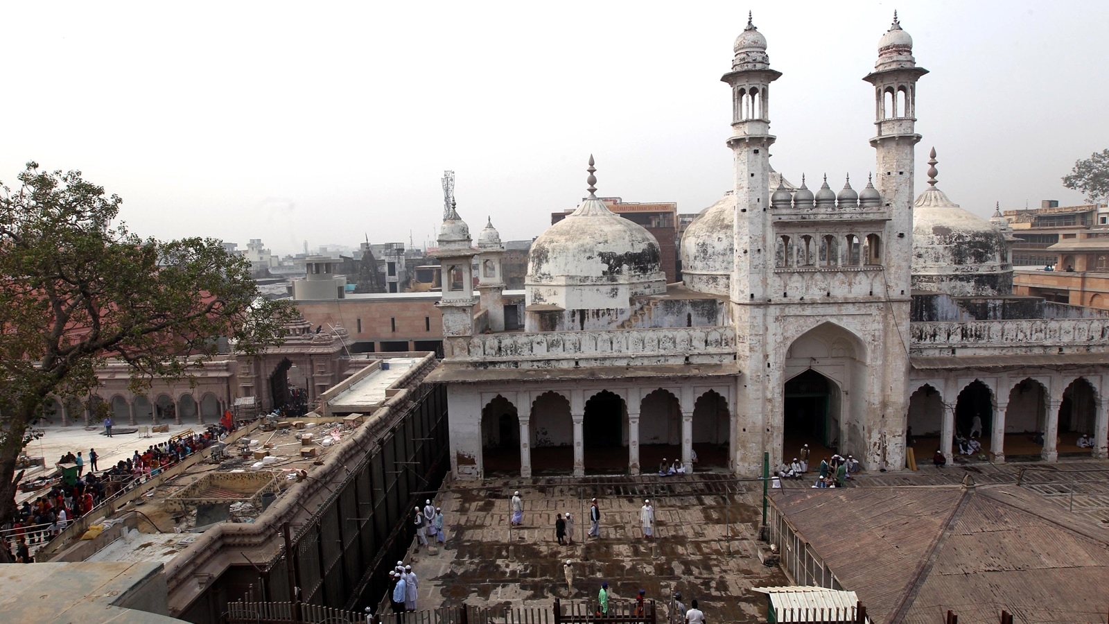 ASI Report On Kashi Vishwanath-Gyanvapi Case Not Judgment, Says Mosque ...