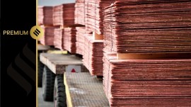 India Zambia industry delegation, india zambia mining projects, India Zambia copper minig cooperation, india zambia mineral resources, copper mining opportunities in Zambia, Mines Ministry new proposal, Indian industry delegation, copper-rich Zambia, India Zambia discussion on copper exploration, indian express news