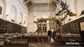 indian museum kolkata bomb threat