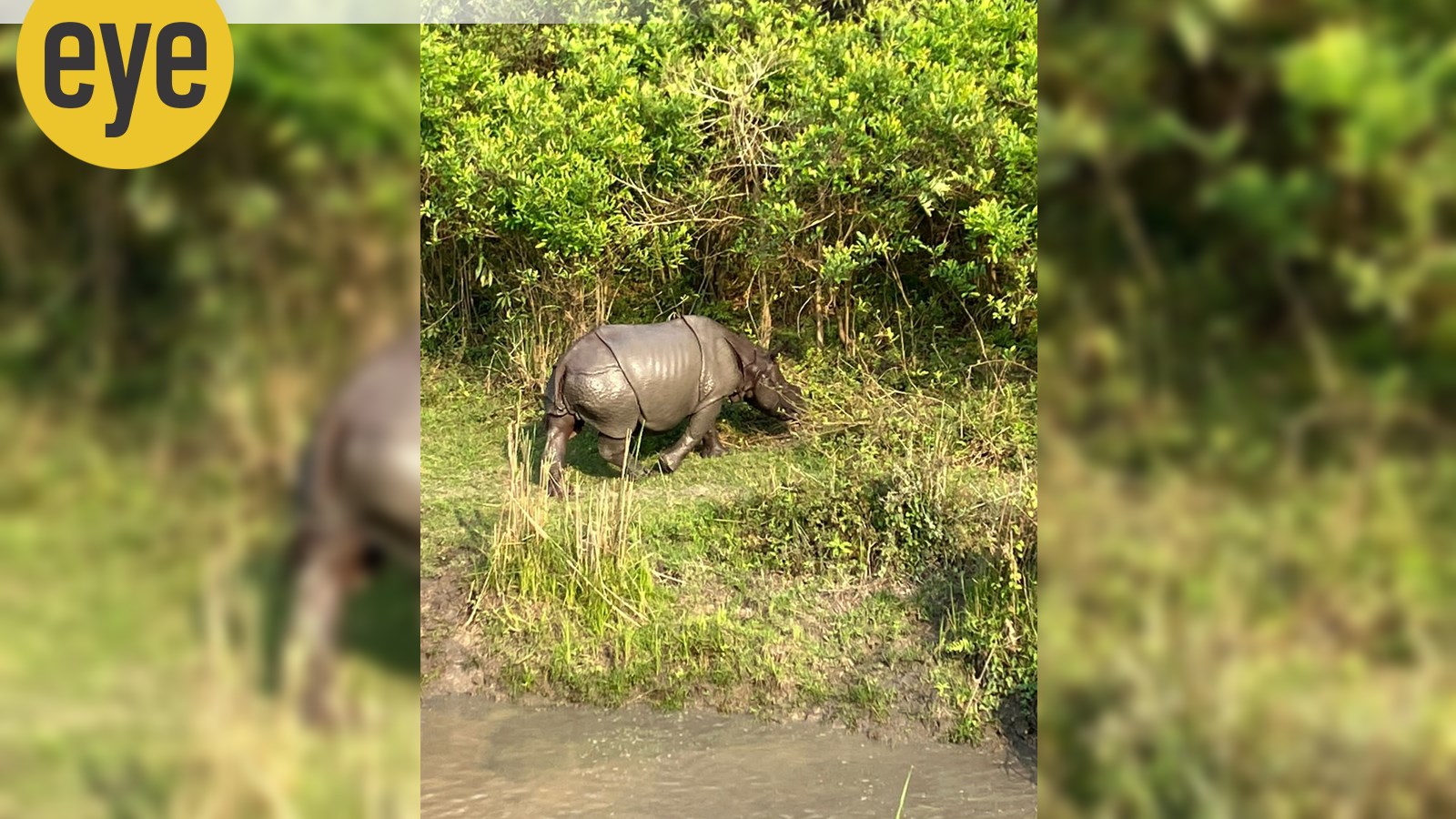 Kaziranga National Park Tour