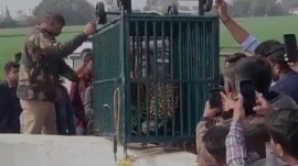 leopard rescued leopard in gujarat