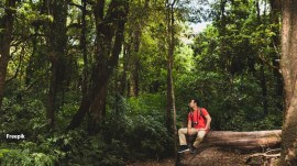 Shinrin Yoku invites us to pause, breathe, and reconnect with the healing power of nature.