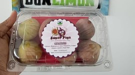 Pune figs export