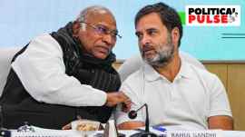 rahul gandhi, congress, ram temple, ayodhya