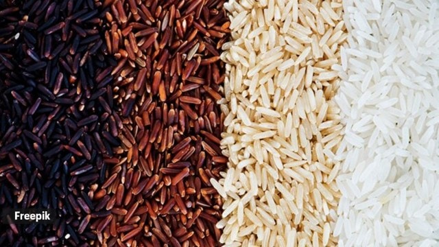 rice types